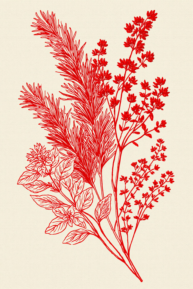 Redwork Herb Sprig Design 02 from Napkins, Table Runners & Kitchen Linens Book 3, a digital embroidery design reference for machine embroidery designs, embroidery patterns and border and edge embroidery.