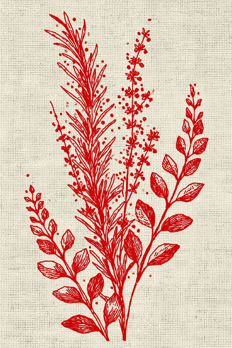 Vintage Cross Stitch & Redwork Library Book 18 Product Book 1 digital PDF embroidery design book - product image 11
