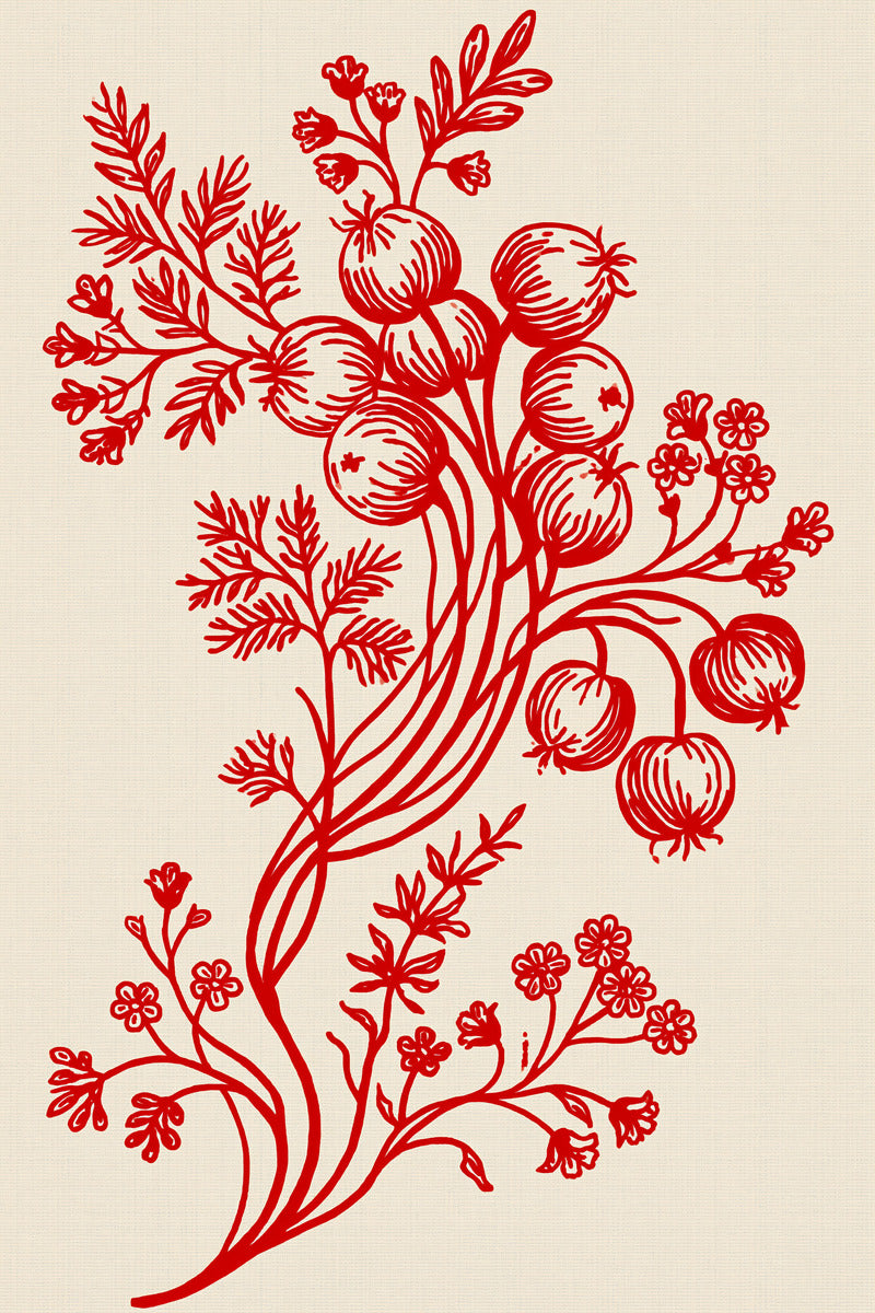 Redwork Kitchen Towel Motif from Napkins, Table Runners & Kitchen Linens Book 4, a digital embroidery design reference for machine embroidery designs, embroidery patterns and border and edge embroidery.
