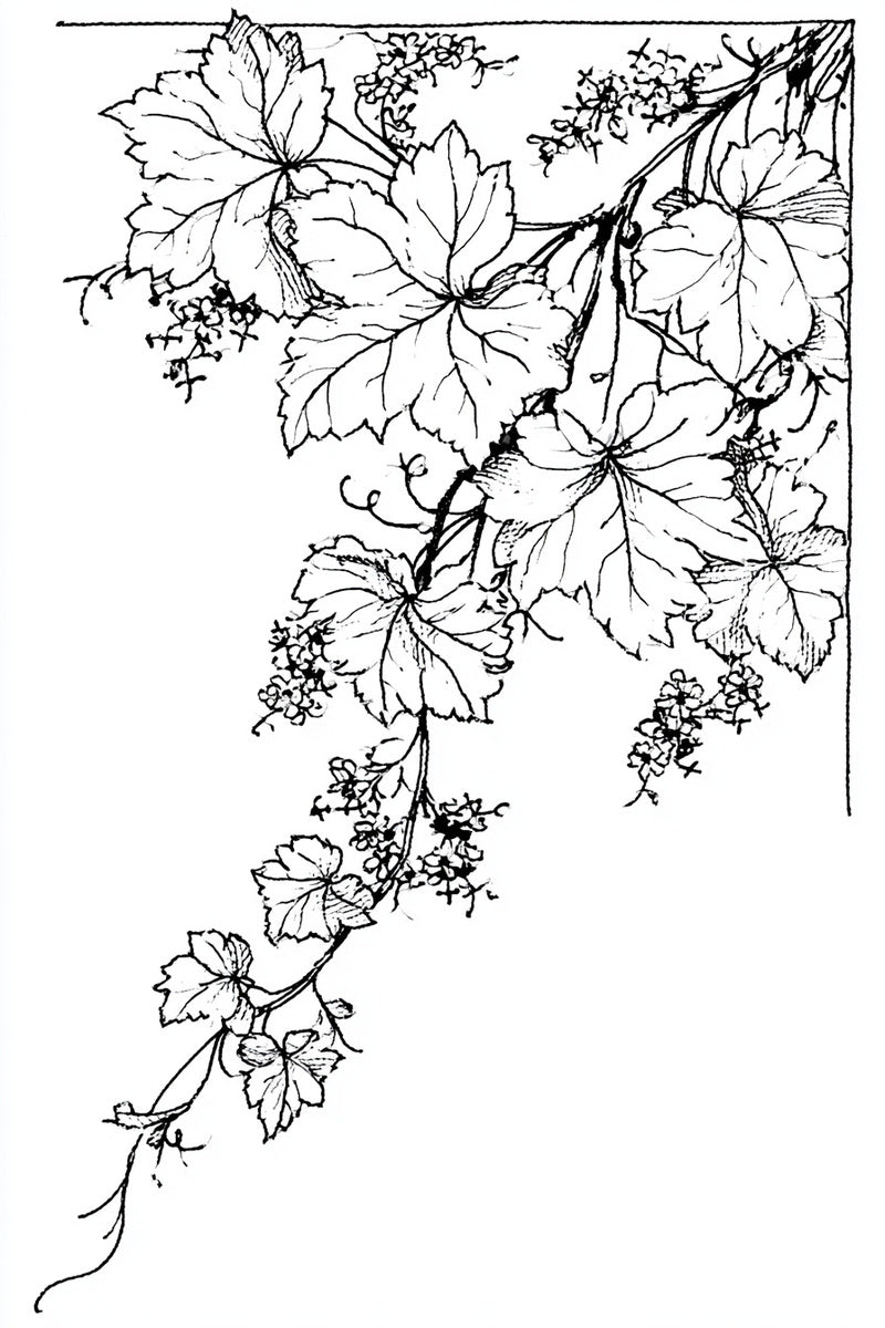 Sacred Vine Corner from Church Embroidery & Sacred Ornament Book 2, a digital embroidery design reference for machine embroidery designs, embroidery patterns and corner embroidery.