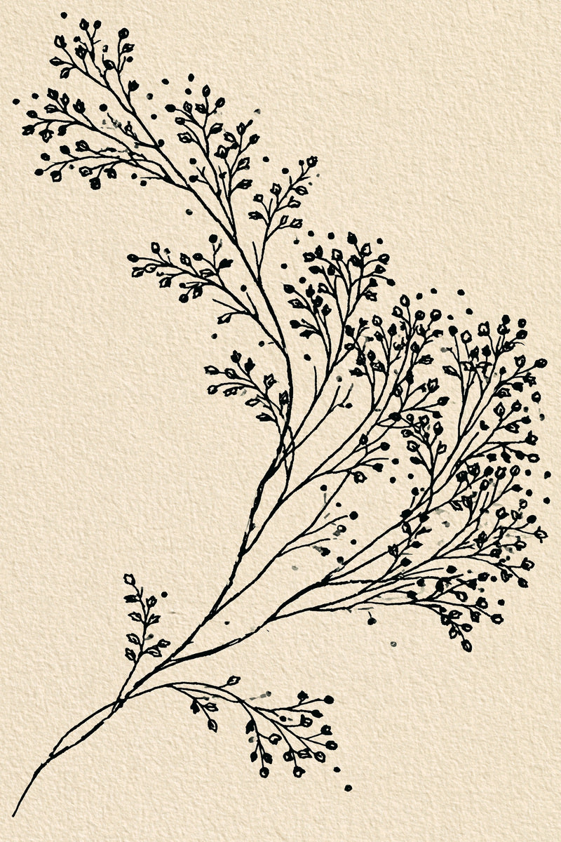 Shoulder Botanical Branch Botanical Sprig from Botanical Sprig Library Book 5, a digital embroidery design reference for machine embroidery designs, embroidery patterns and small motif and accent designs.