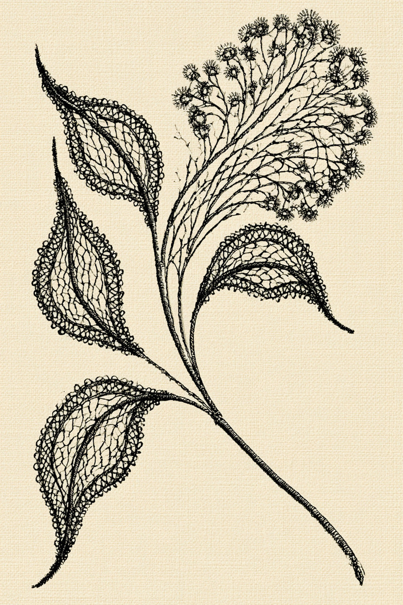 Simple Lace Sprig Motif 02 from Lace Embroidery & Broderie Designs Book 4, a digital embroidery design reference for machine embroidery designs, embroidery patterns and lace and broderie details.