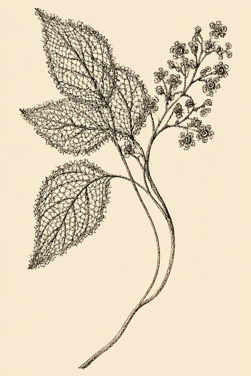 Simple Lace Sprig Motif from Lace Embroidery & Broderie Designs Book 2, a digital embroidery design reference for machine embroidery designs, embroidery patterns and lace and broderie details.