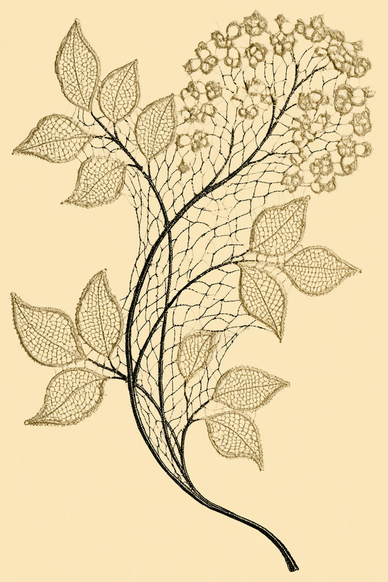 Simple Lace Sprig Motif from Lace Embroidery & Broderie Designs Book 3, a digital embroidery design reference for machine embroidery designs, embroidery patterns and lace and broderie details.