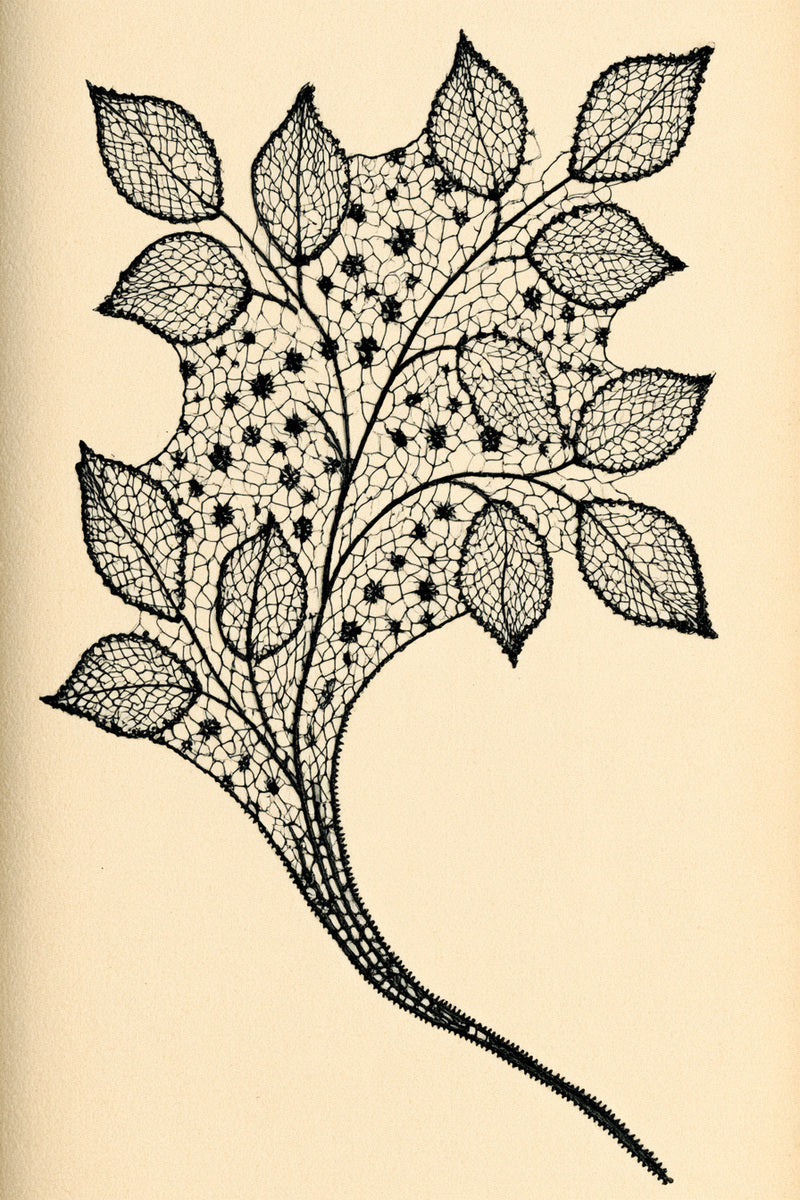 Simple Lace Sprig Motif from Lace Embroidery & Broderie Designs Book 4, a digital embroidery design reference for machine embroidery designs, embroidery patterns and lace and broderie details.