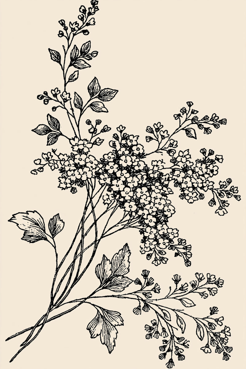 Simple Napkin Corner Motif 02 from Napkins, Table Runners & Kitchen Linens Book 1, a digital embroidery design reference for machine embroidery designs, embroidery patterns and border and edge embroidery.