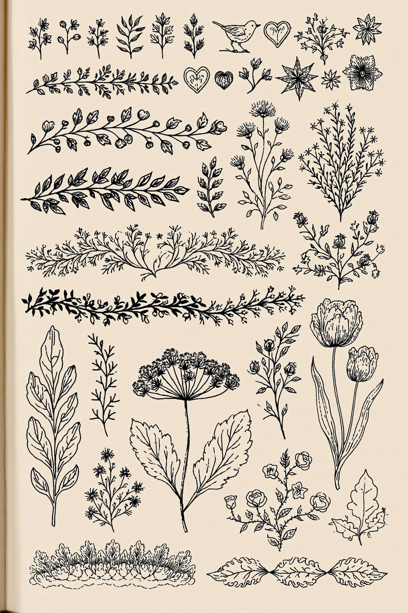Original design plate of songbird hearts and botanical border sampler from Single Color Embroidery Designs Edition Three.