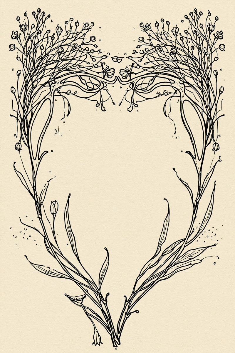 Sinuous Botanical Frame System Art 02 from Art Nouveau Botanical Embroidery Book 4, a digital embroidery design reference for machine embroidery designs, embroidery patterns and frames and monogram spaces.