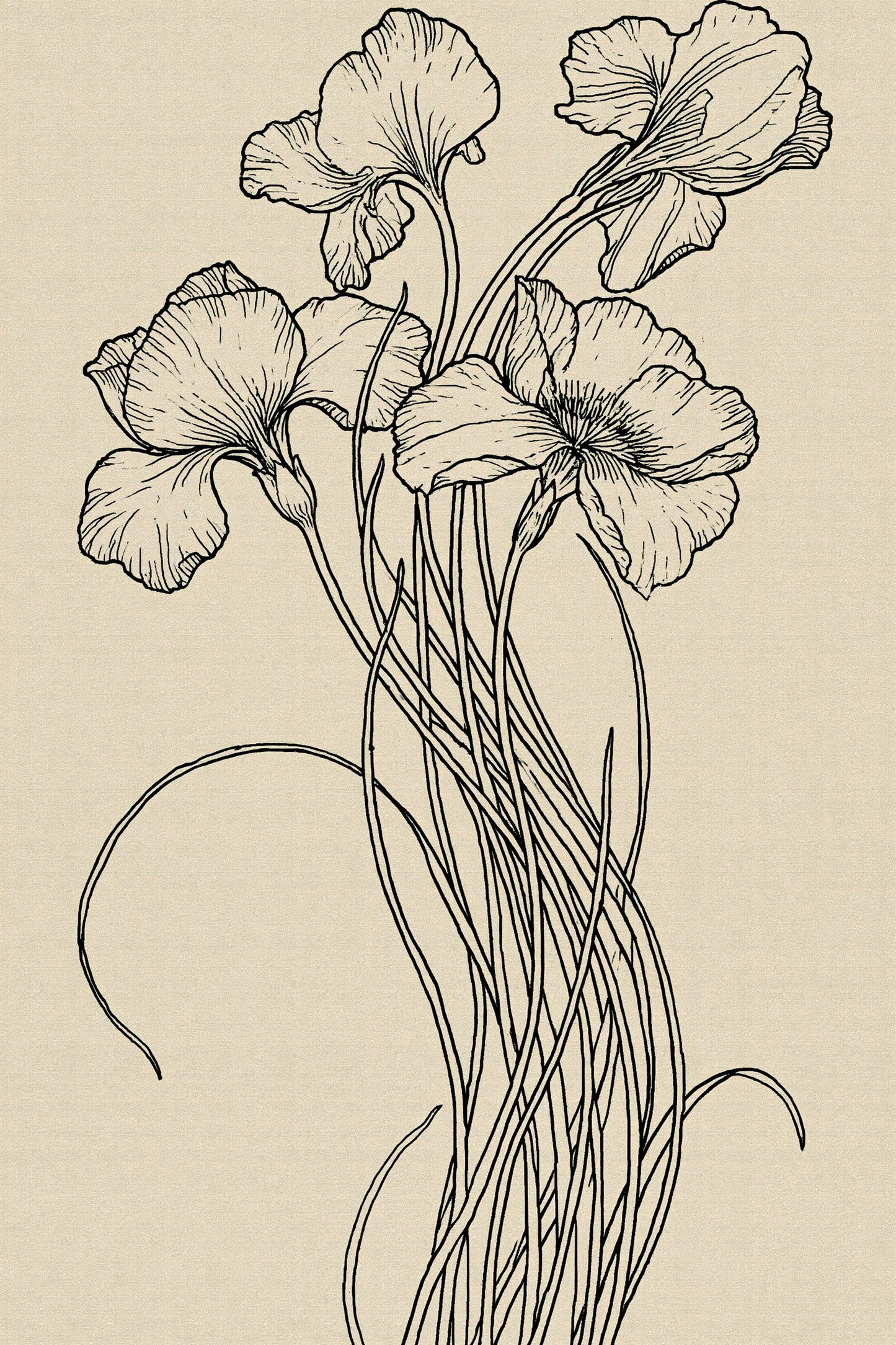 Digital PDF embroidery design bundle cover preview for Botanical Garden Archive Bundle 2, featuring curated embroidery patterns, motif library references and textile design… - preview 23