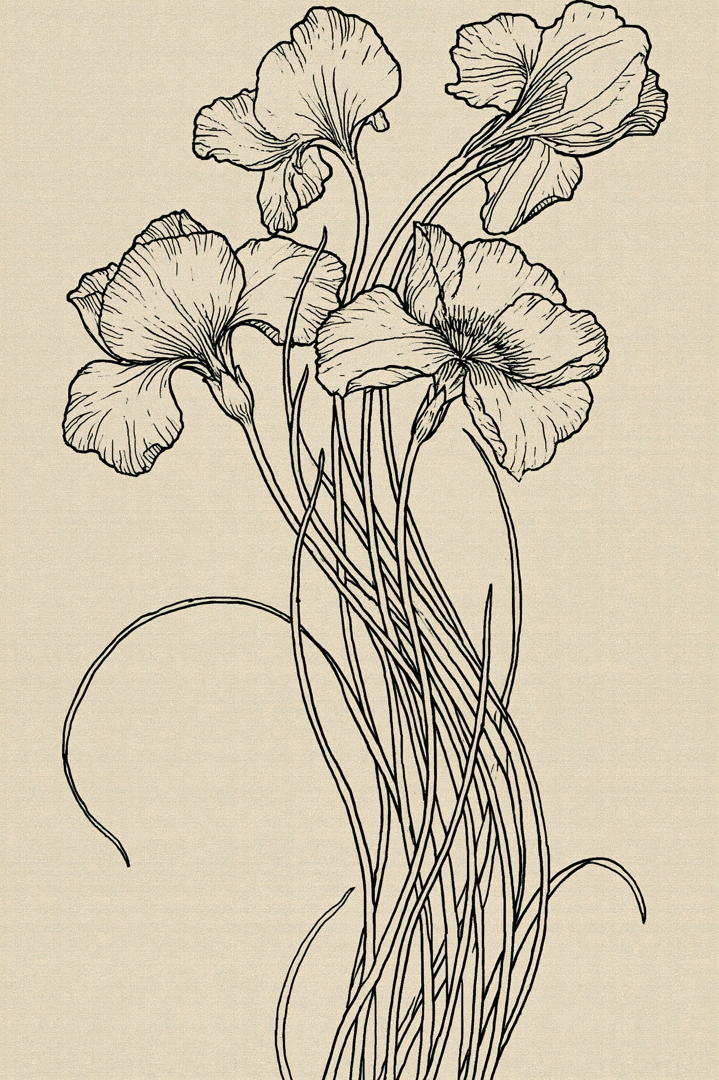 Digital PDF embroidery design bundle cover preview for Botanical Garden Archive Bundle 2, featuring curated embroidery patterns, motif library references and textile design… - preview 23