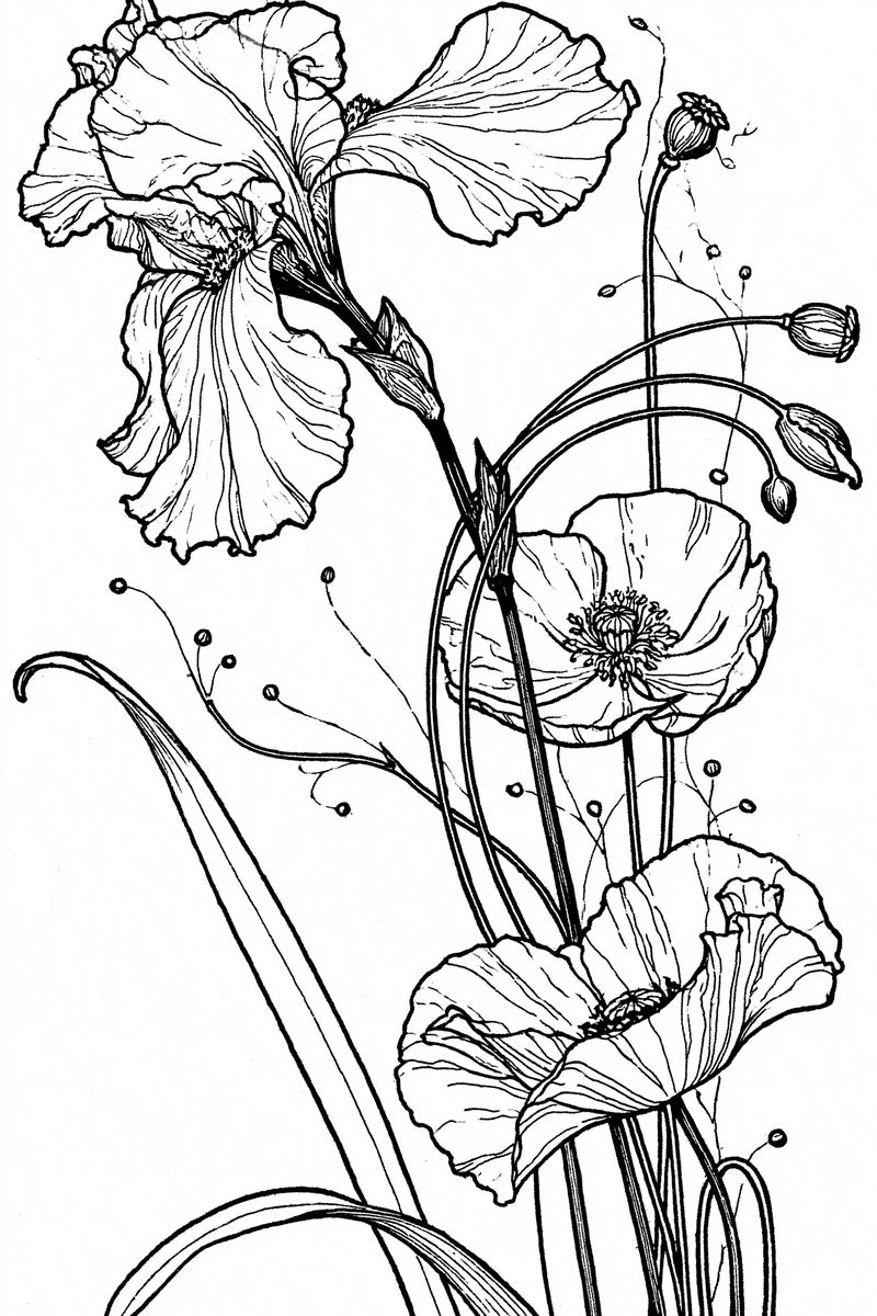 Tall Iris And Poppy Decorative from Art Nouveau Botanical Embroidery Book 3, a digital embroidery design reference for machine embroidery designs, embroidery patterns and botanical and floral embroidery.