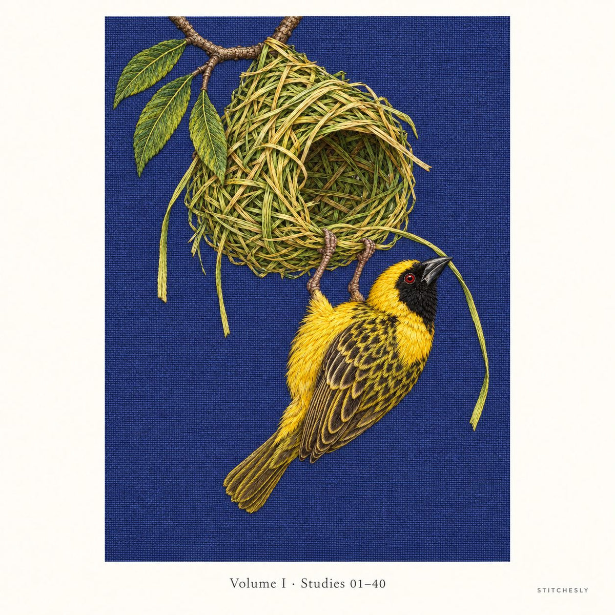 A weaverbird hangs beside its unfinished nest in Study 21. The complete embroidery image is shown at a generous scale, with a small caption identifying Volume I, Studies 01–40.