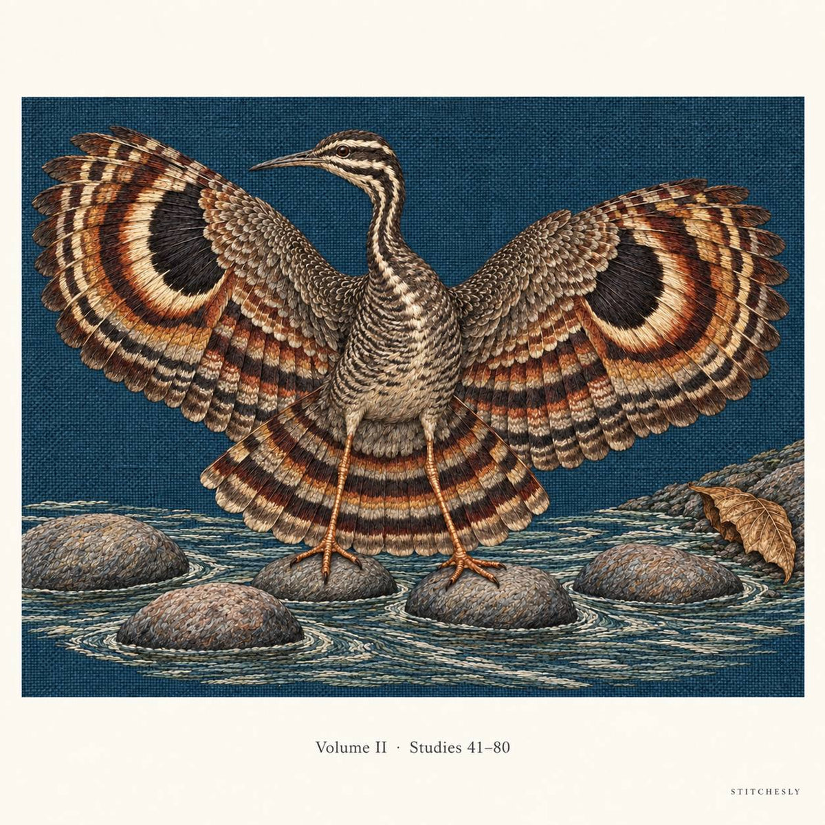 The sunbittern opens its patterned wings in Study 74. The complete embroidery image is shown at a generous scale, with a small caption identifying Volume II, Studies 41–80.
