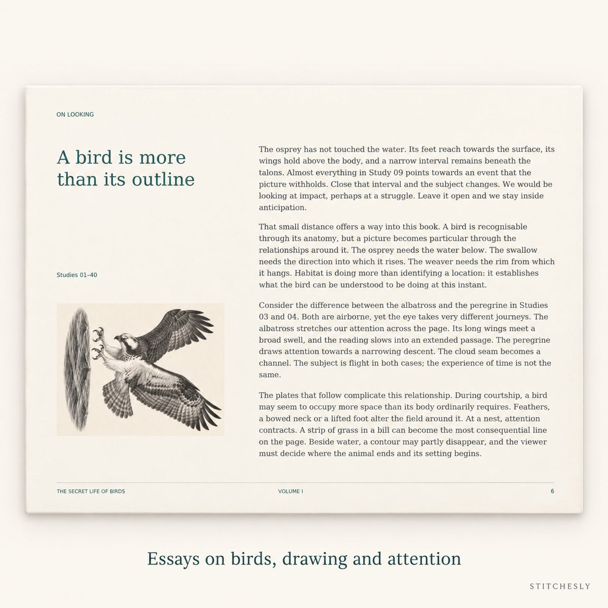 A landscape editorial page from the book, titled A bird is more than its outline, introduces close observation of birds and their surroundings. The page is presented as a large, flat facsimile.