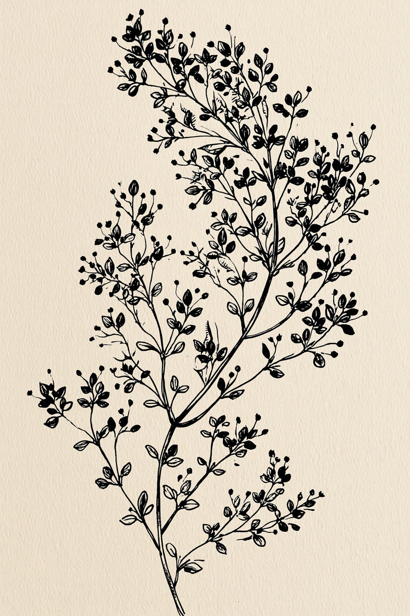 Thyme Inspired Botanical Filler Botanical from Botanical Sprig Library Book 6, a digital embroidery design reference for machine embroidery designs, embroidery patterns and small motif and accent designs.