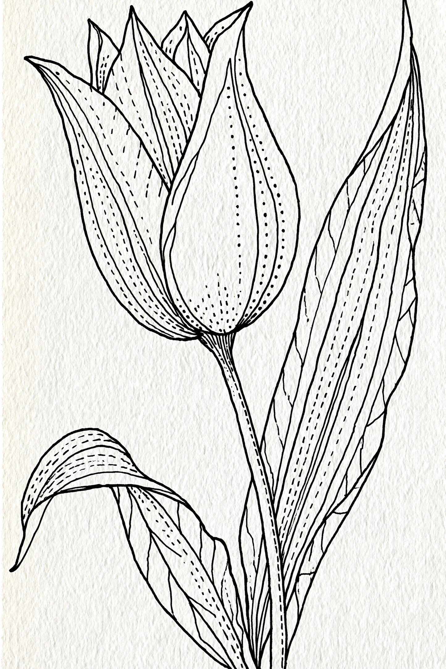 Appliqué Compatible Designs - Book 2 | Digital PDF Embroidery Design Book