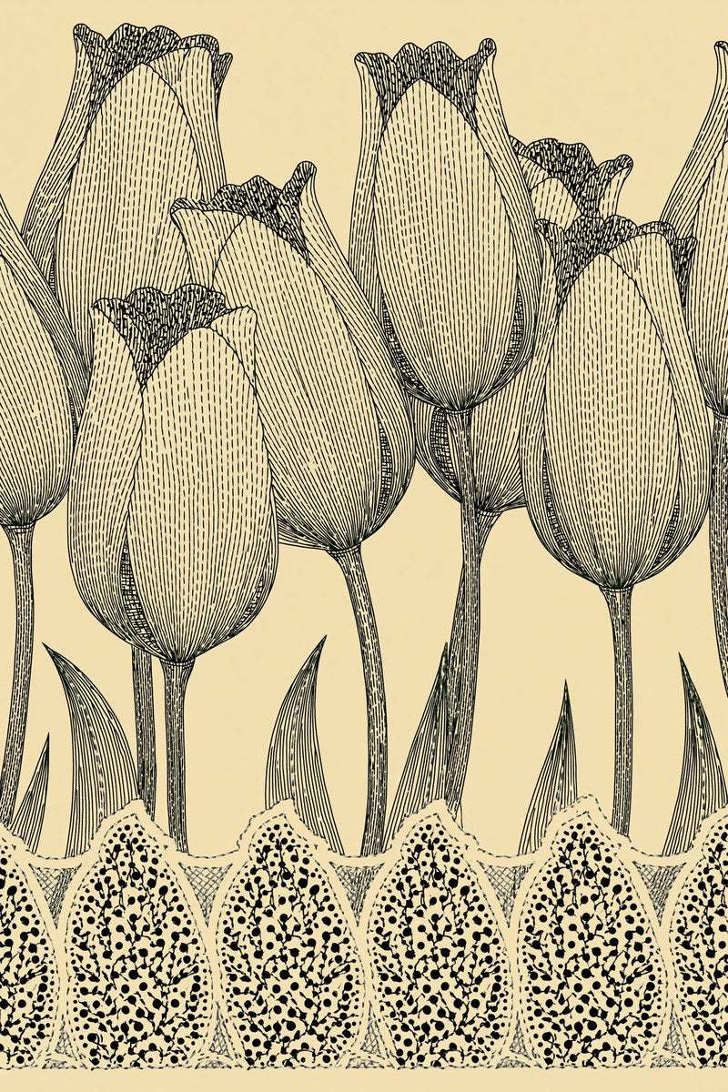 Original drawing of tall tulips with scalloped floral border from Turkish Embroidery Motifs Book Two.