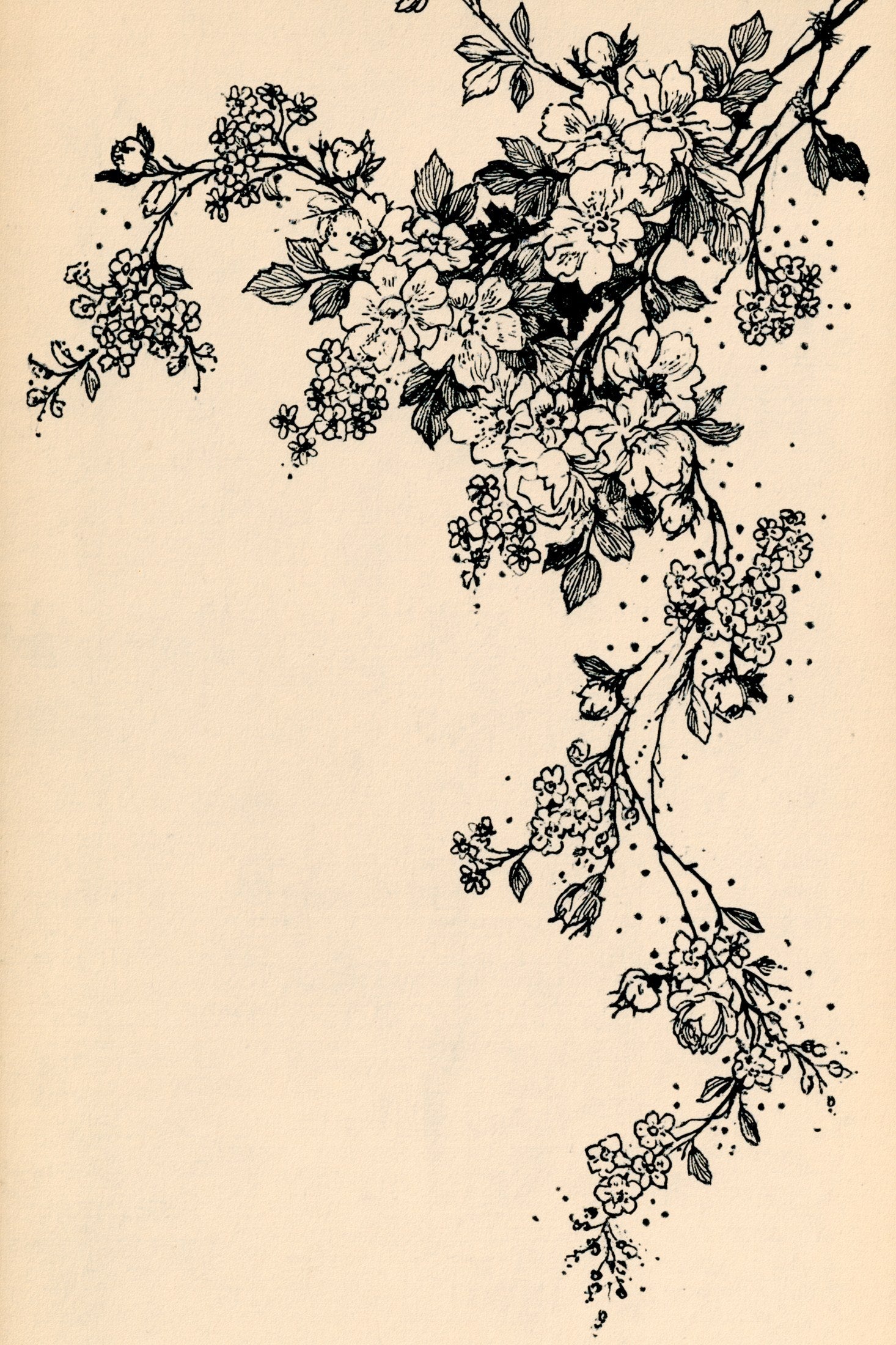 Digital PDF embroidery design bundle cover preview for Botanical Garden Archive Bundle 3, featuring curated embroidery patterns, motif library references and textile design… - preview 23