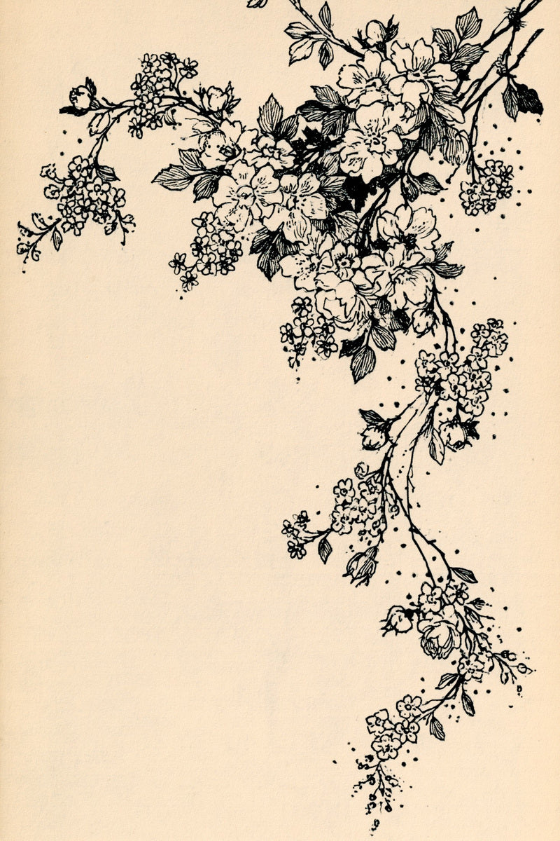 Victorian Sprig & Heirloom Botanicals Book 49 Product Book 3 digital PDF embroidery design book - product image 16