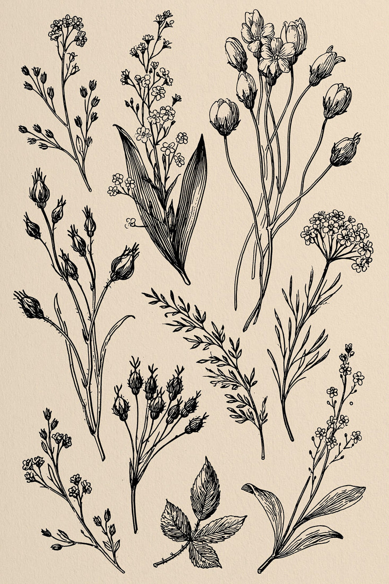 Victorian Sprig & Heirloom Botanicals Book 49 Product Book 2 digital PDF embroidery design book - product image 30