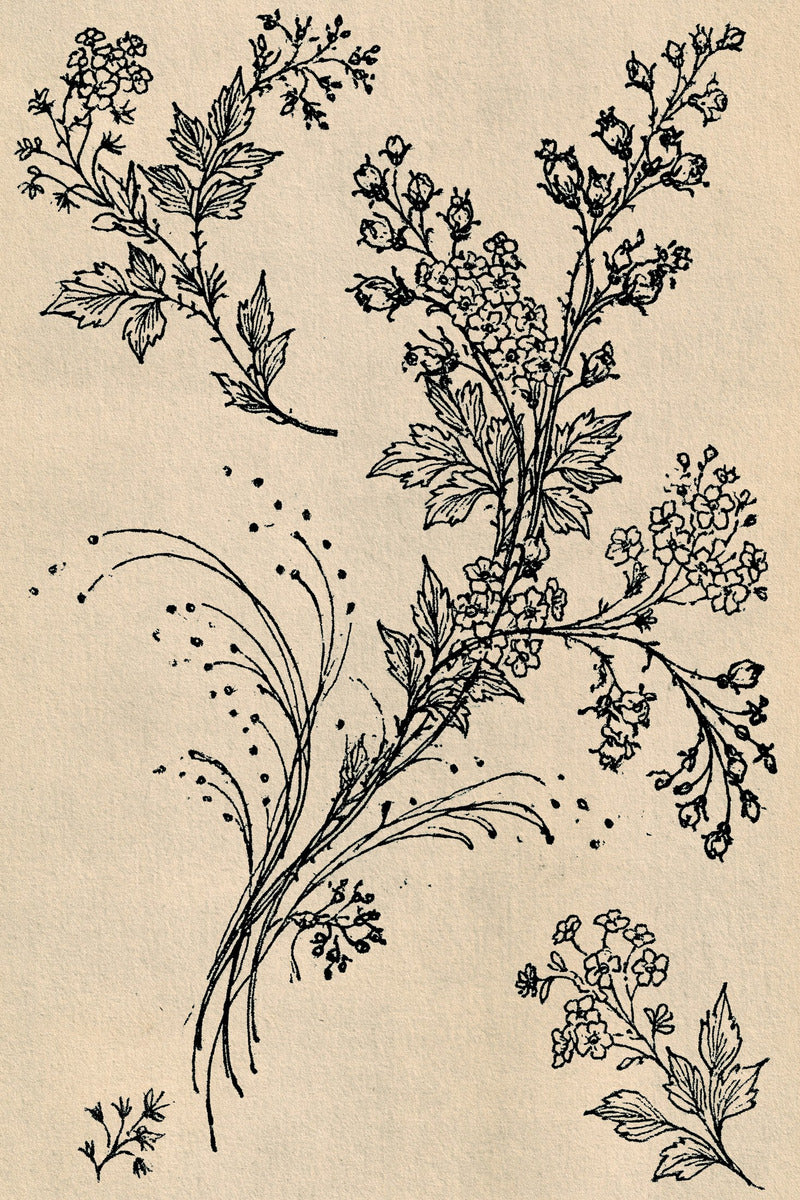 Victorian Sprig & Heirloom Botanicals Book 49 Product Book 1 digital PDF embroidery design book - pattern preview 7