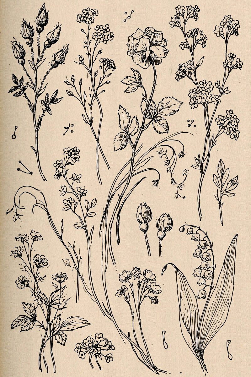 Victorian Sprig & Heirloom Botanicals Book 49 Product Book 2 digital PDF embroidery design book - pattern preview 4