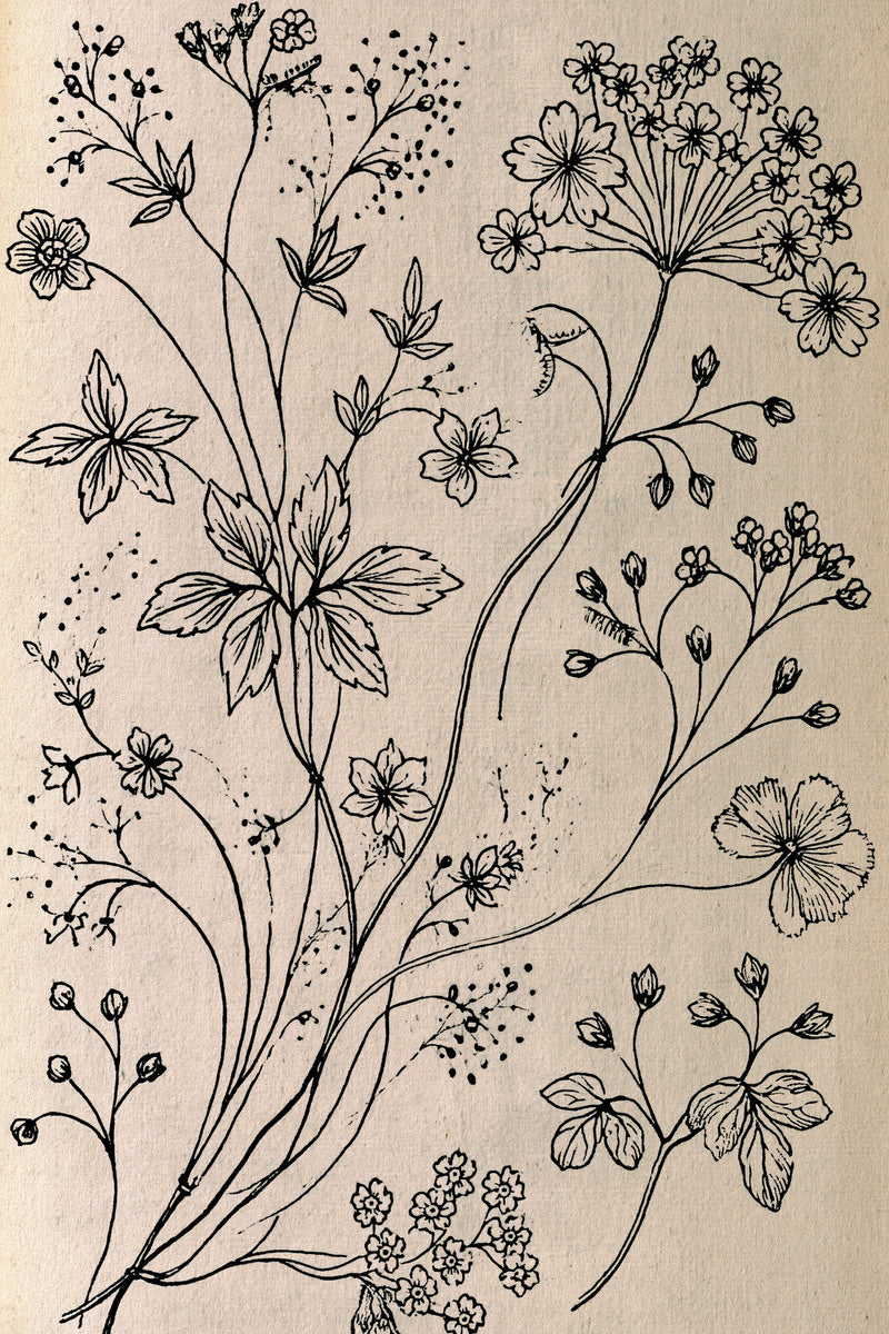 Victorian Sprig & Heirloom Botanicals Book 49 Product Book 5 digital PDF embroidery design book - sample plate / motif preview 4