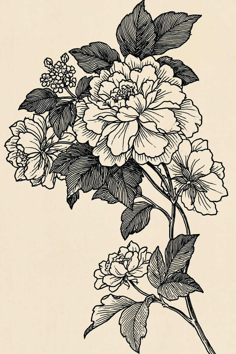 Voided Botanical Corner from Colbert Embroidery Studies Book 1, a digital embroidery design reference for machine embroidery designs, embroidery patterns and corner embroidery.