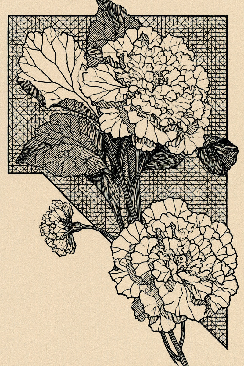 Voided Botanical Corner from Colbert Embroidery Studies Book 2, a digital embroidery design reference for machine embroidery designs, embroidery patterns and corner embroidery.