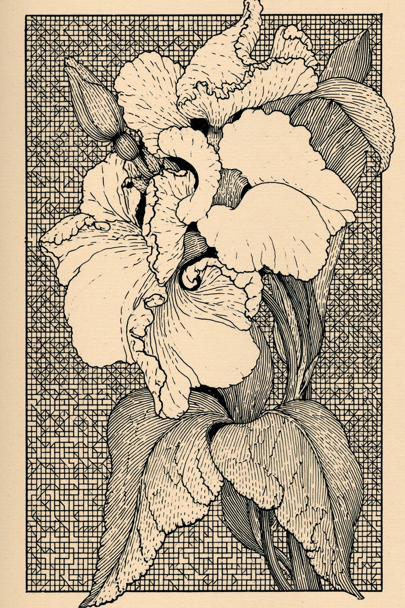 Voided Botanical Corner from Colbert Embroidery Studies Book 4, a digital embroidery design reference for machine embroidery designs, embroidery patterns and corner embroidery.