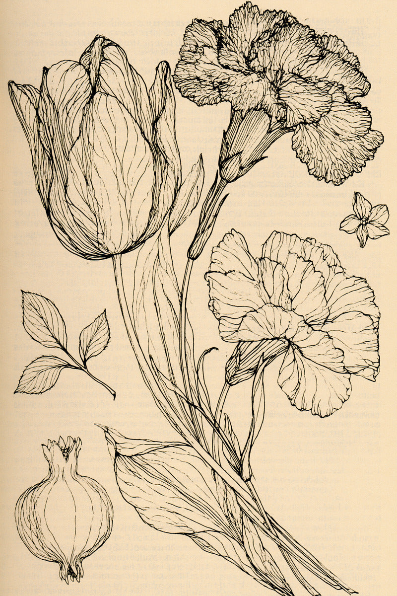 Voided Floral Motif Set from Colbert Embroidery Studies Book 3, a digital embroidery design reference for machine embroidery designs, embroidery patterns and botanical and floral embroidery.