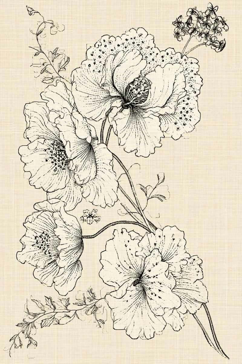 Whitework Sacred Floral Corner from Church Embroidery & Sacred Ornament Book 4, a digital embroidery design reference for machine embroidery designs, embroidery patterns and corner embroidery.