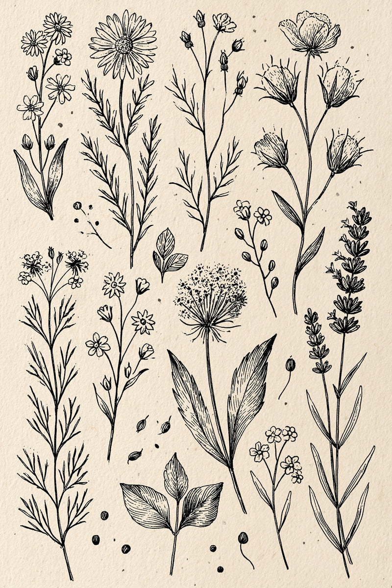 Wildflower Sprig Library Plate Botanical from Botanical Sprig Library Book 5, a digital embroidery design reference for machine embroidery designs, embroidery patterns and small motif and accent designs.