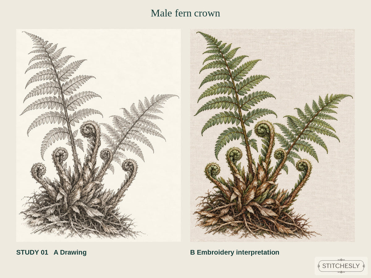 Study 01, Male fern crown, showing the A drawing and B embroidery interpretation side by side.