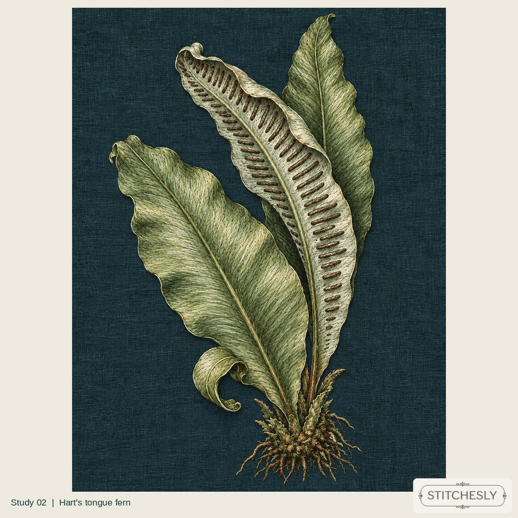 Study 02, Hart's tongue fern, a full composition shown as an embroidered textile interpretation from The Woodland Undersong.