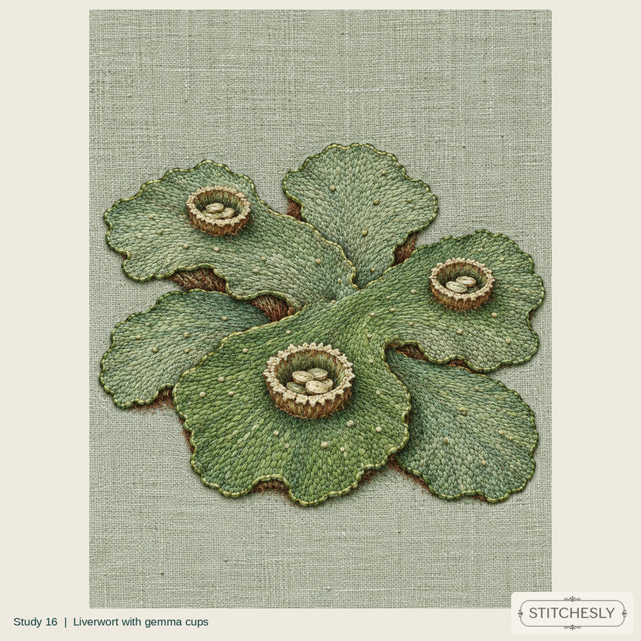 Study 16, Liverwort with gemma cups, a full composition shown as an embroidered textile interpretation from The Woodland Undersong.