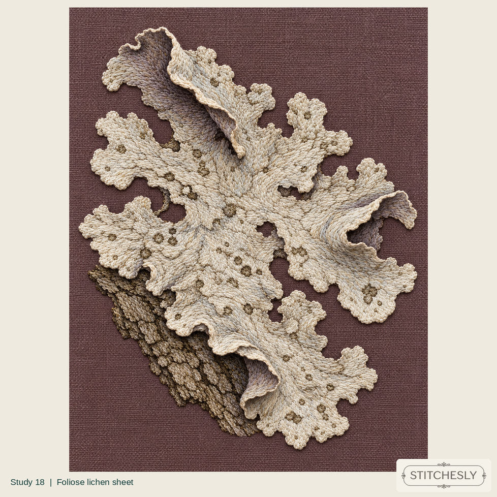 Study 18, Foliose lichen sheet, a full composition shown as an embroidered textile interpretation from The Woodland Undersong.