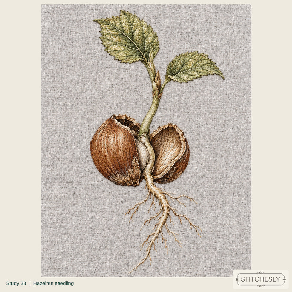 Study 38, Hazelnut seedling, a full composition shown as an embroidered textile interpretation from The Woodland Undersong.