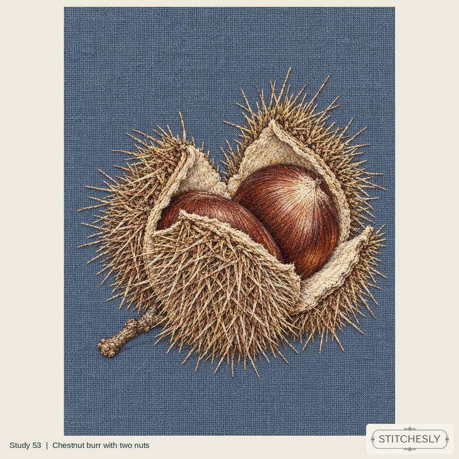 Study 53, Chestnut burr with two nuts, a full composition shown as an embroidered textile interpretation from The Woodland Undersong.